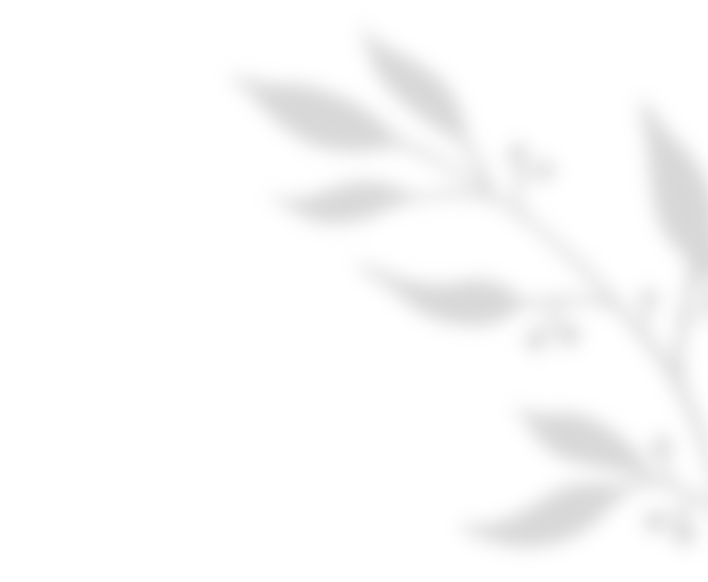 shadow_leaves_01 https://tinaromano.it/wp-content/uploads/2020/11/shadow_leaves_01.png